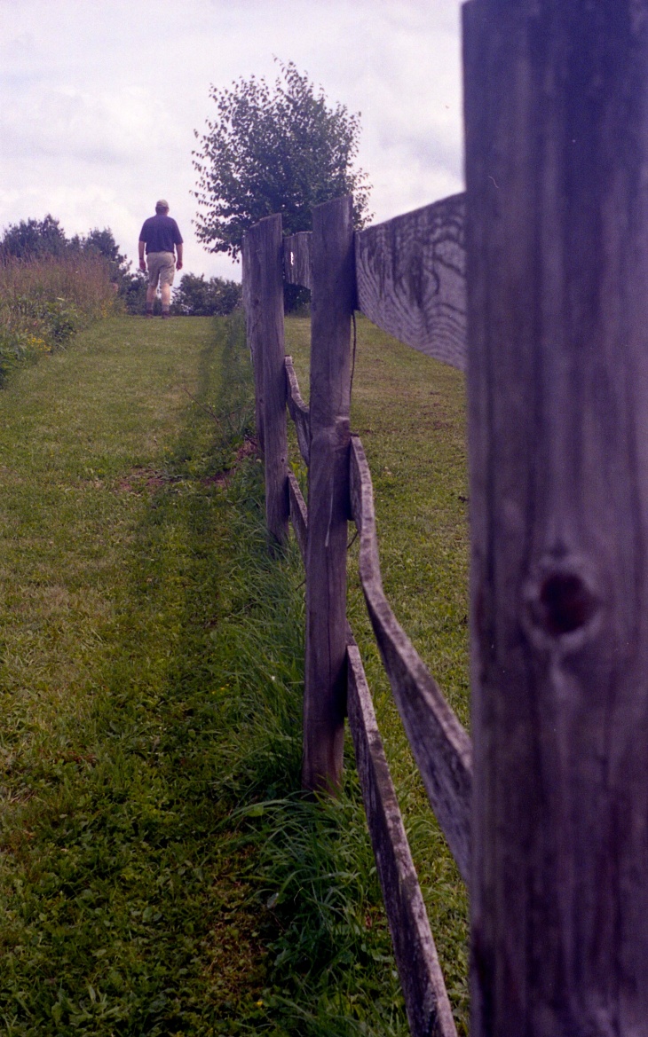 Farm Fence